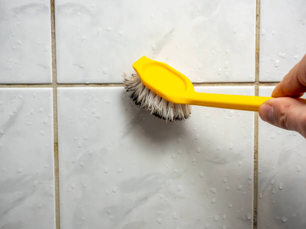 Best Best Mold Removal Companies  in Porter Heights, TX