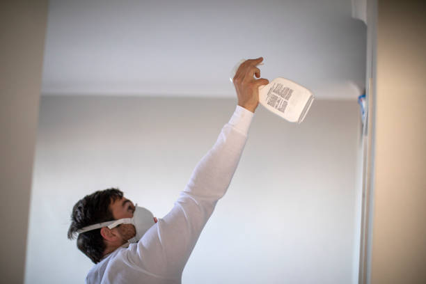 Best Mold Removal Specialists  in Porter Heights, TX