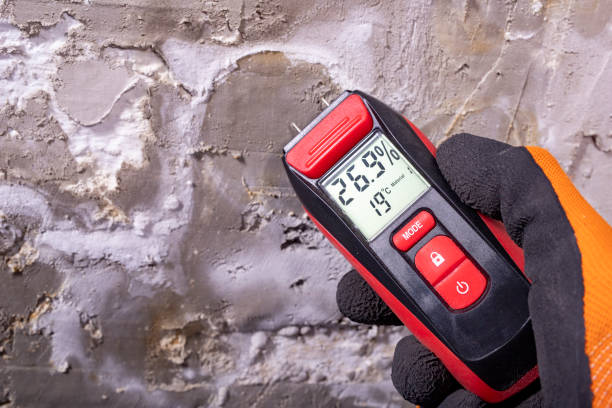 Best Mold Removal and Inspection  in Porter Heights, TX
