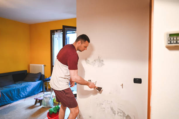 Best Fast Mold Removal  in Porter Heights, TX